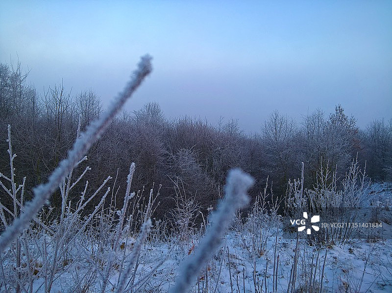 白雪覆盖的田野在天空的衬托下的风景图片素材