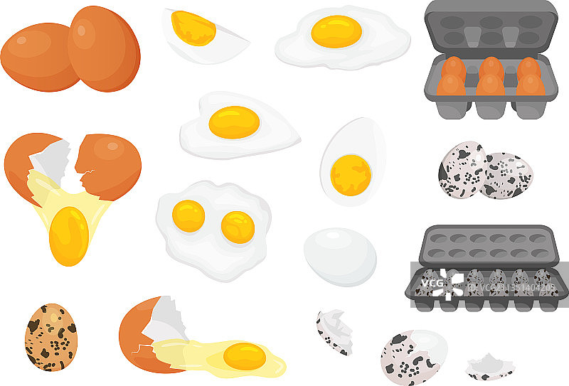 卡通农场新鲜的鸡肉和鹌鹑蛋图片素材