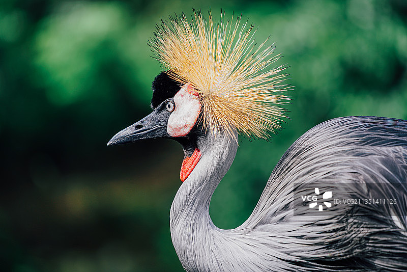 起重机特写图片素材