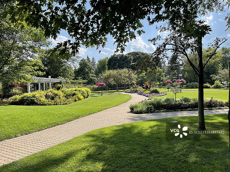 加拿大公园里的树木图片素材