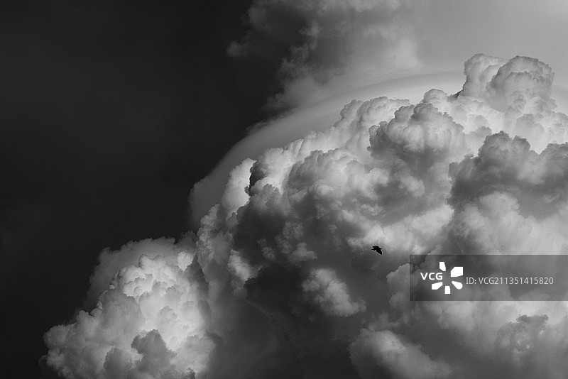 印度阿萨姆邦北拉金普尔天空云朵的低角度景观图片素材