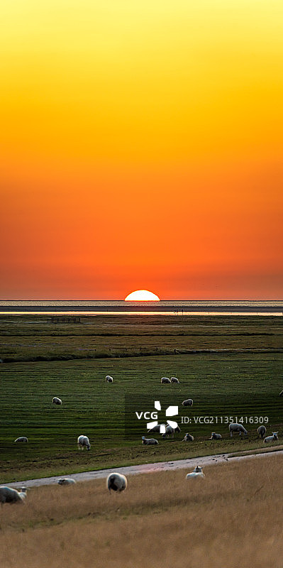 德国Westerhever日落时分的田野风光图片素材
