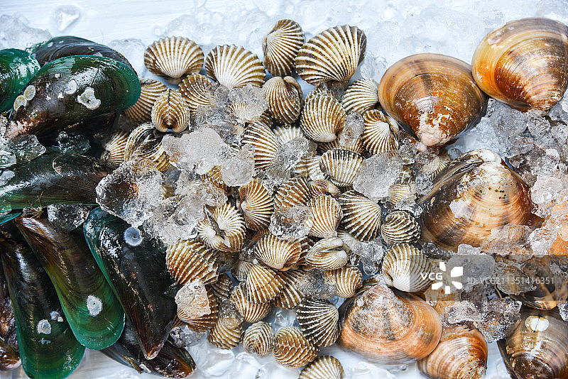 贝壳的高角度视图图片素材