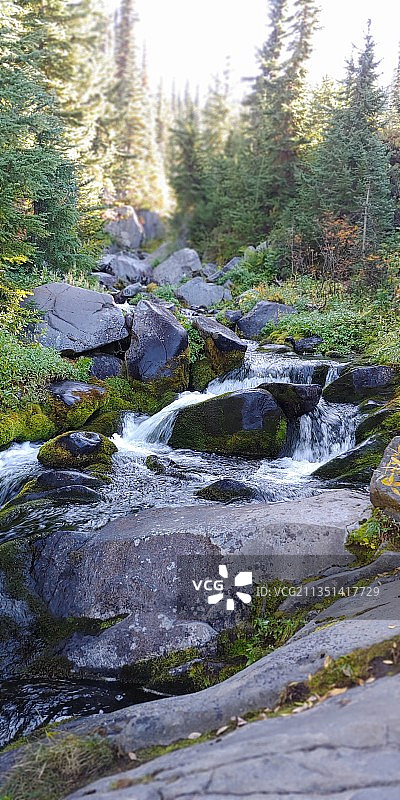 华盛顿森林岩石溪流风光，美国图片素材
