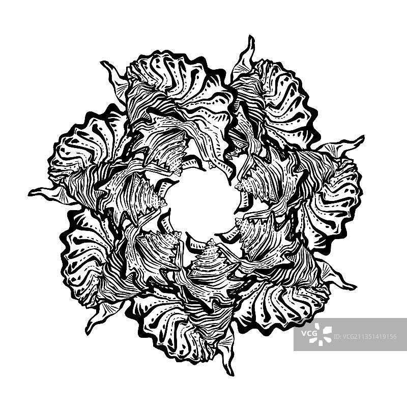 黑色墨水贝壳圆形曼陀罗框架图片素材