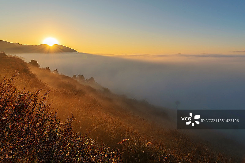 杨梅山日出图片素材