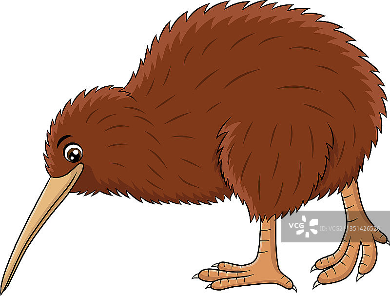 可爱的几维鸟卡通图片素材