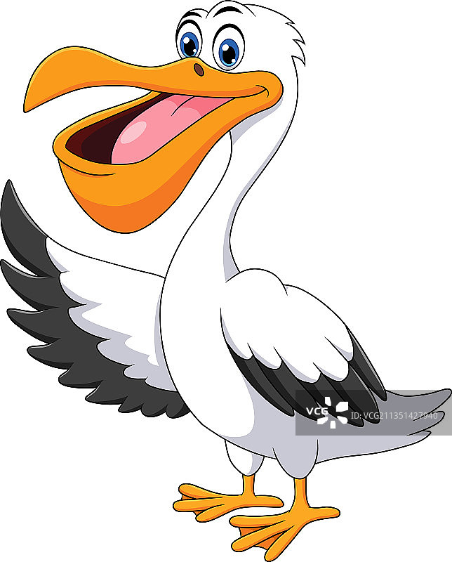 可爱的鹈鹕鸟卡通形象图片素材