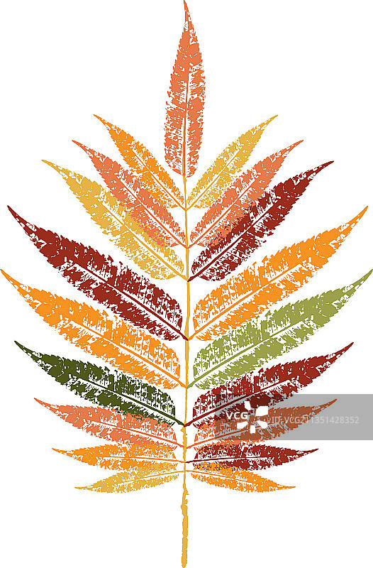 一片落叶的彩色墨水印花图片素材