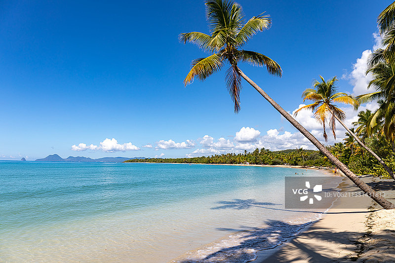 马提尼克海景图片素材