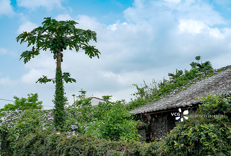 中国历史文化名村－海南罗驿古风一瞥图片素材