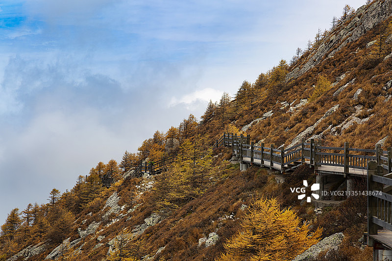 秋天清晨高视角下的太白山山峰图片素材