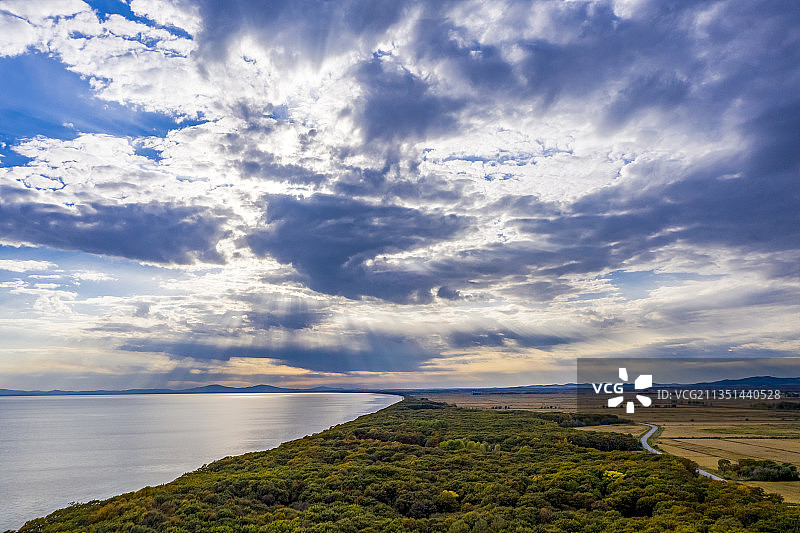 黑龙江鸡西：中俄界湖兴凯湖北岸稻田风光图片素材