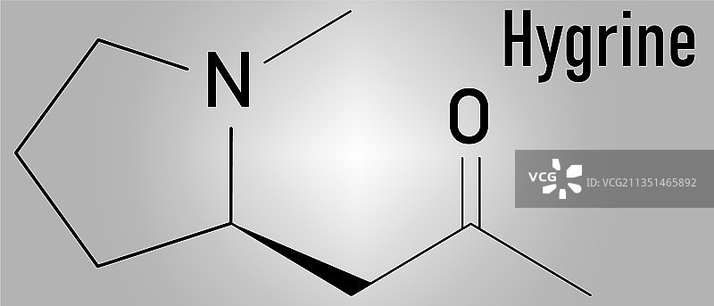 古柯碱生物碱分子骨架式图片素材