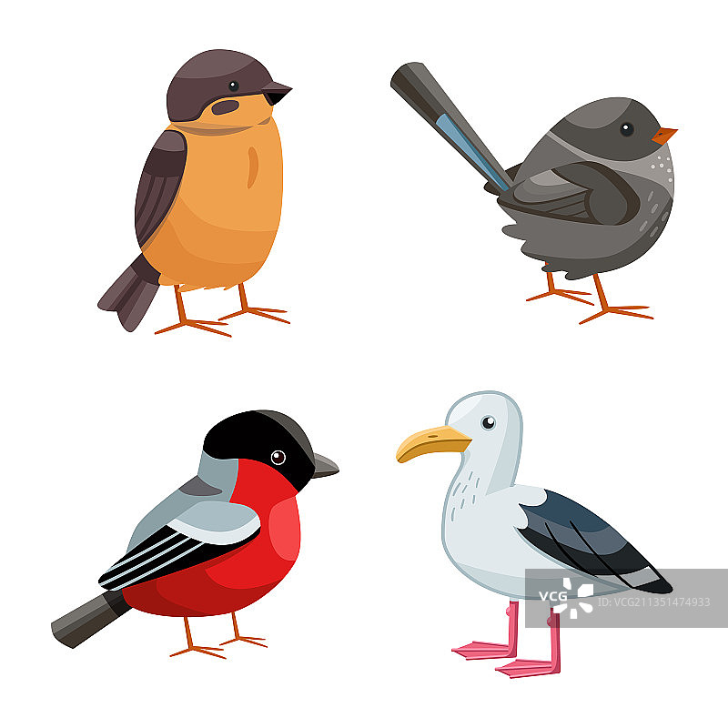 动物和野生图标图片素材