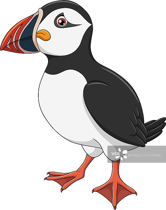 可爱的北大西洋海鹦卡通图片素材