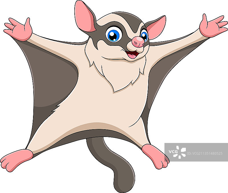 可爱蜜袋鼯卡通图片素材