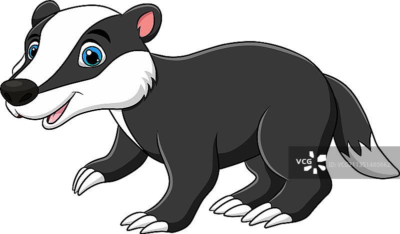 可爱的卡通獾图片素材