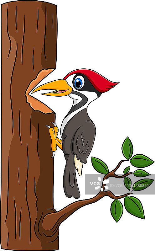 可爱的卡通啄木鸟图片素材