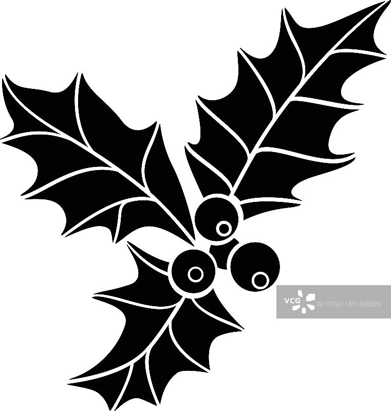 冬青浆果和叶子图片素材