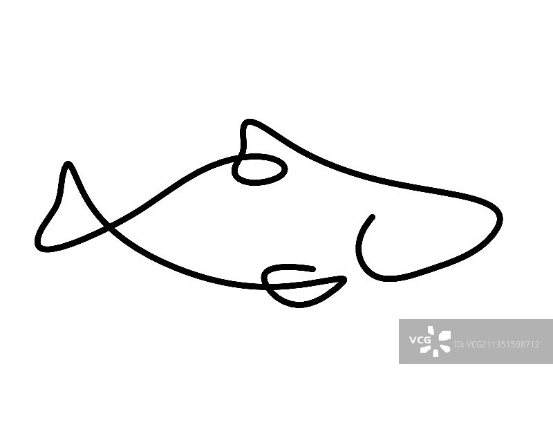 白色背景上的鱼类线条轮廓图图片素材