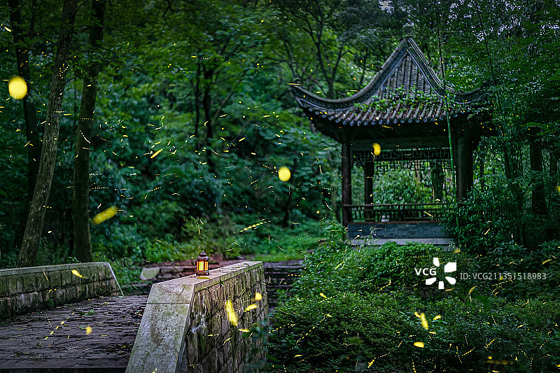 萤火飞舞的季节图片素材