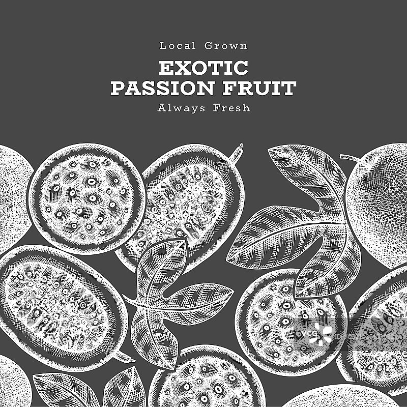 手绘素描百香果banner图片素材