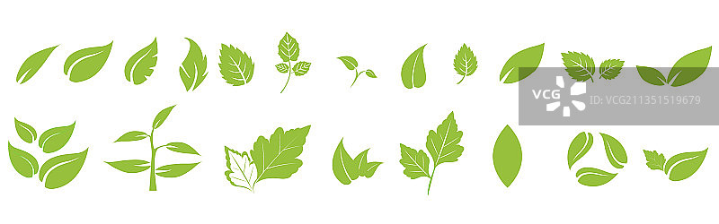 生态自然绿色叶子图标集图片素材