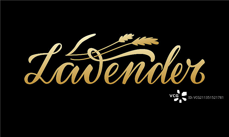 薰衣草金色渐变文字图片素材