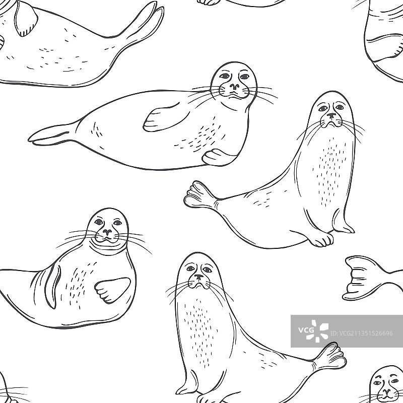海豹图案图片素材