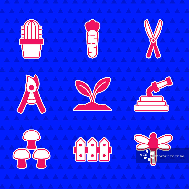 包含嫩芽，花园围栏，木制蜻蜓和软管的套装图片素材