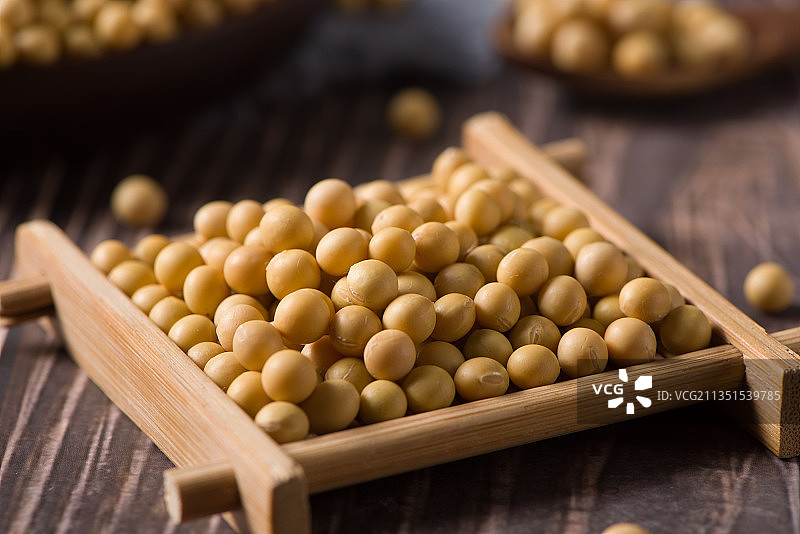 黄豆大豆谷物图片素材