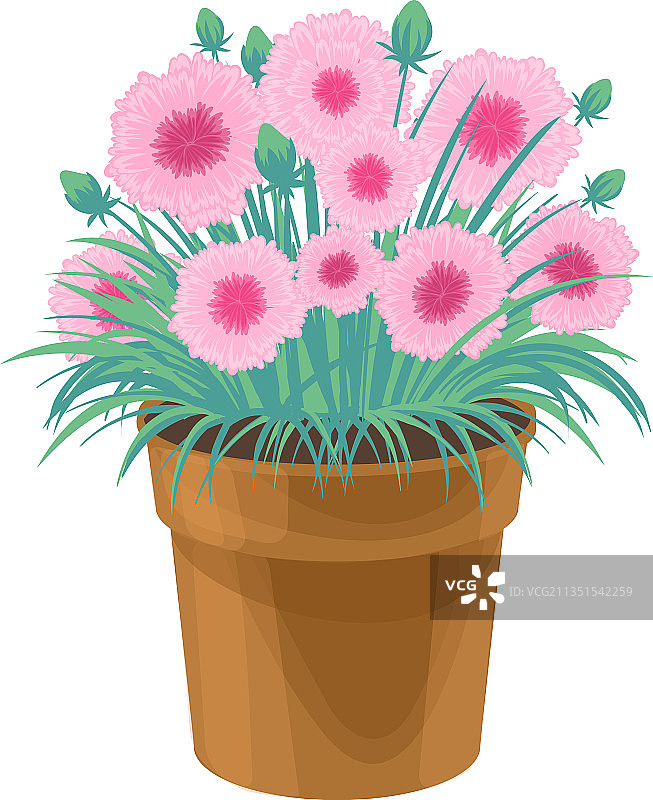 家居盆栽彩色春花图片素材