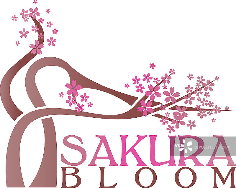 樱花枝与花蕾图片素材