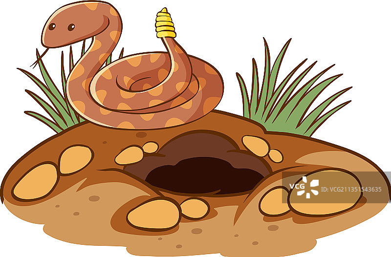 白色背景上带孔的响尾蛇图片素材