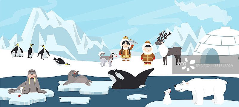 北极景观白色北极熊南极洲图片素材