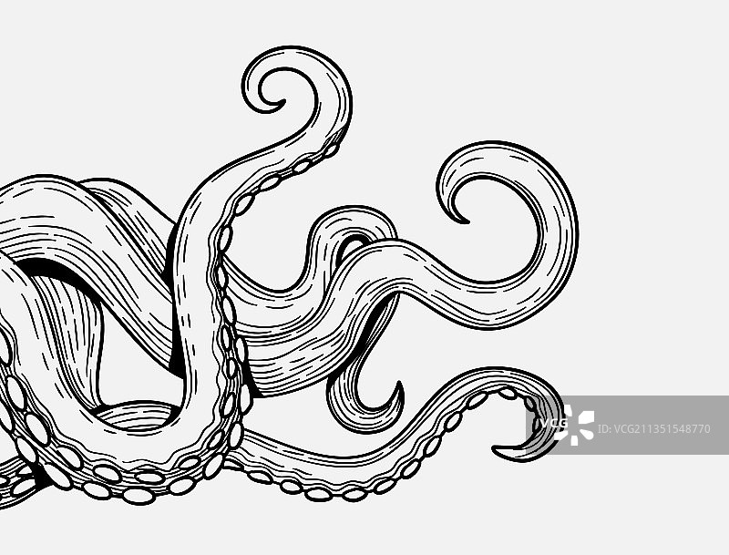 章鱼触手草图素材banner图片素材