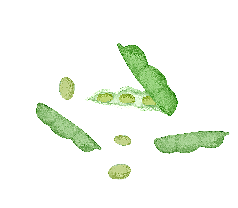 毛豆青豆插画元素图片素材