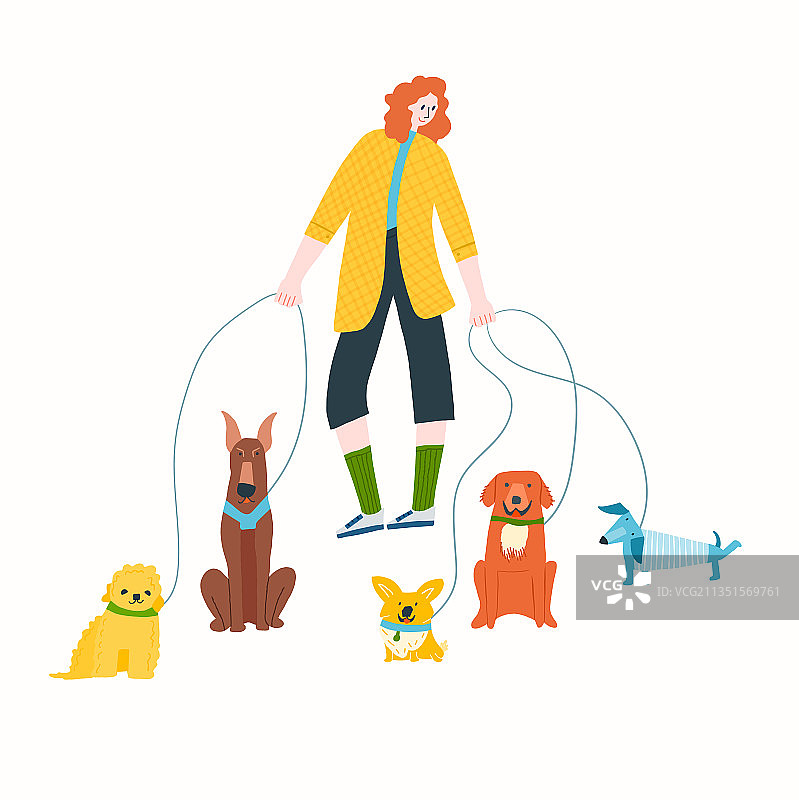 遛狗志愿者服务犬种图片素材