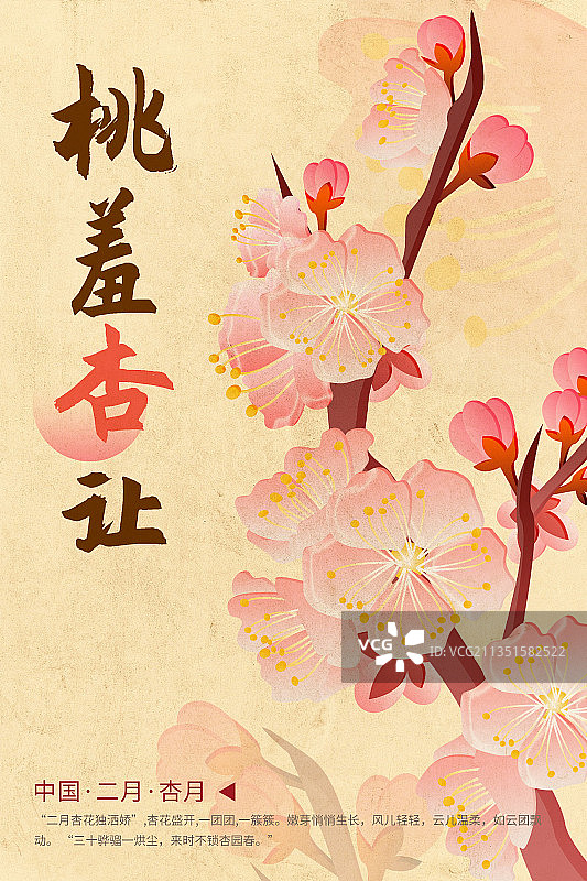 2月杏花1图片素材