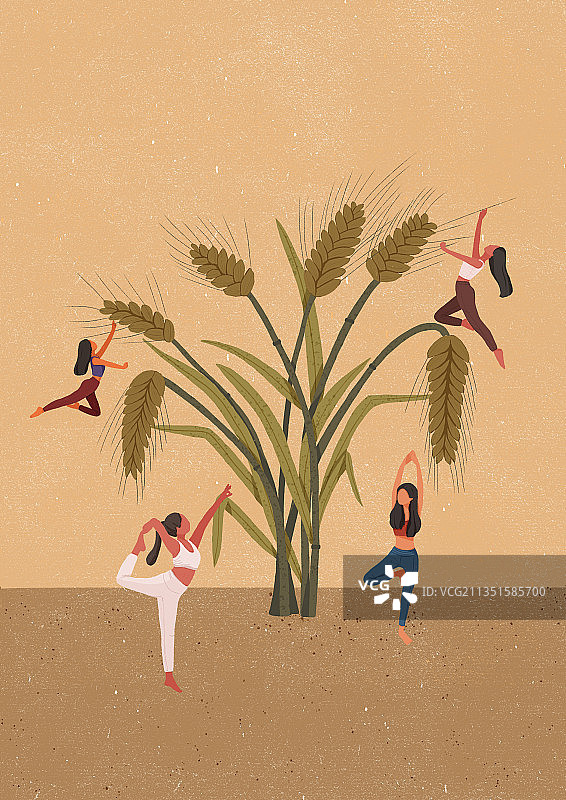 小麦与瑜伽图片素材