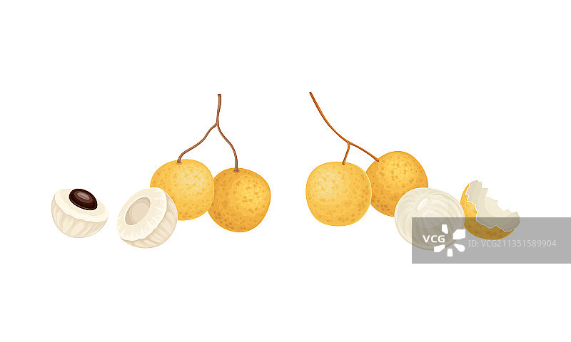 龙眼水果全切热带水果套装图片素材