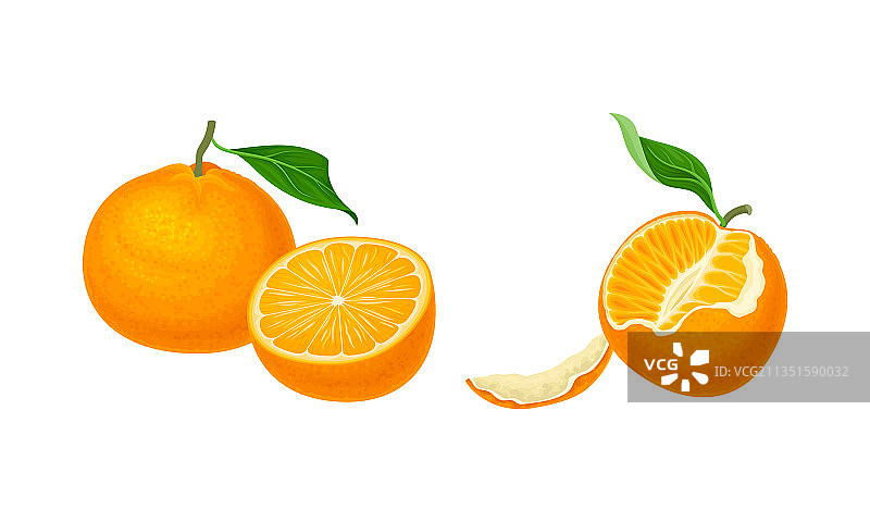 新鲜成熟多汁的柑橘水果组合图片素材