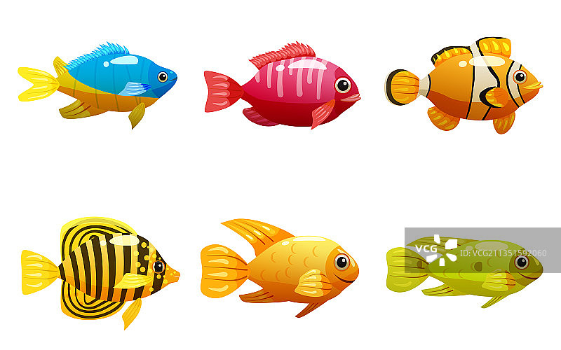 热带黄鱼珊瑚礁异国宠物图片素材