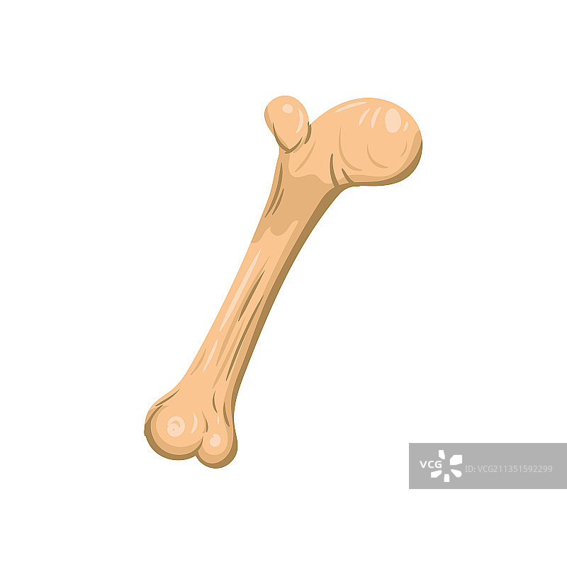 骨头符号卡通图标图片素材