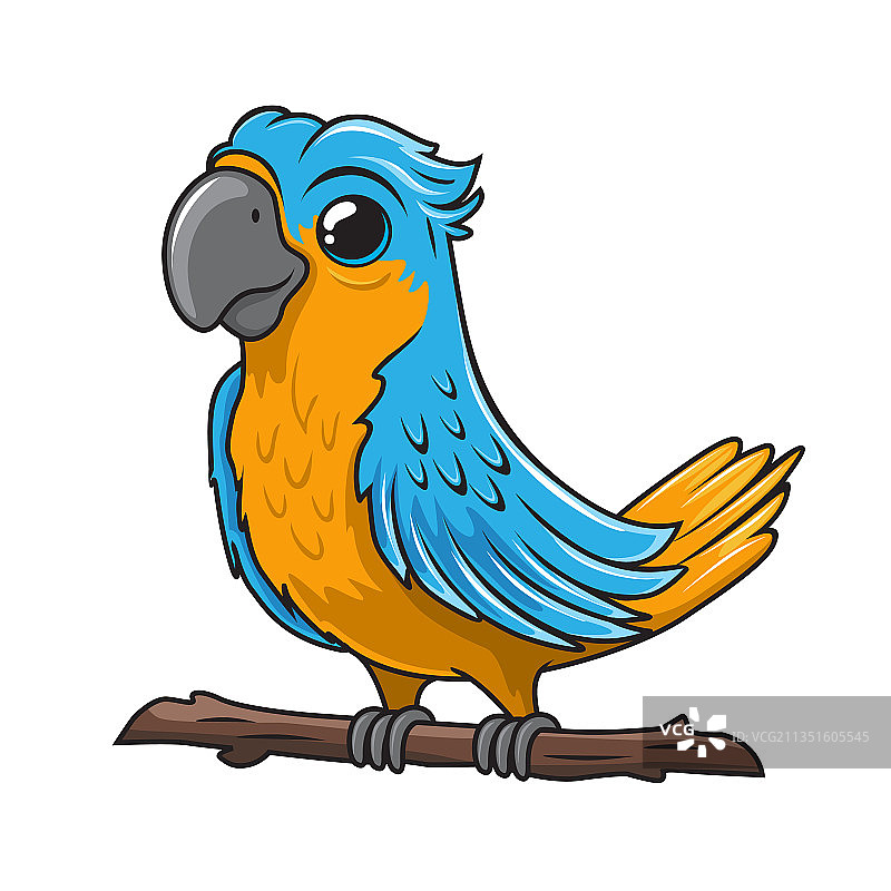 卡通可爱金刚鹦鹉鸟图片素材
