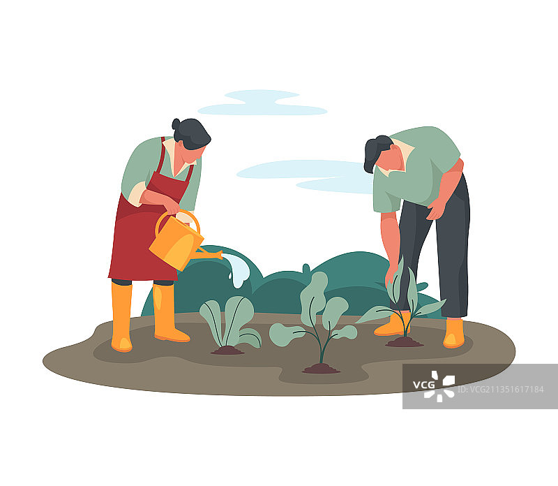 农民在菜地里浇水图片素材