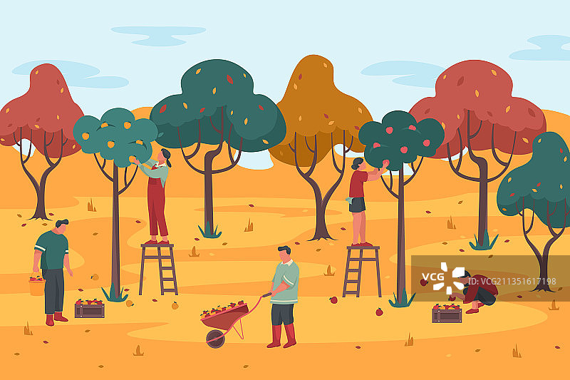 人们在果园里采摘作物图片素材