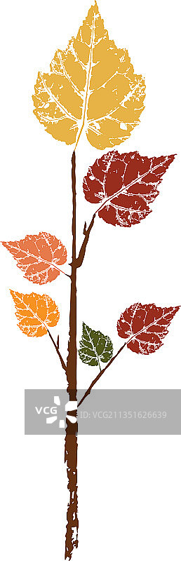 一片落叶的彩色墨水印花图片素材