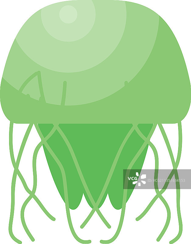 海洋生物图片素材